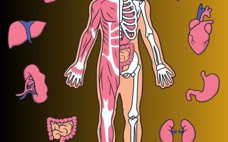 NEET Biology Syllabus